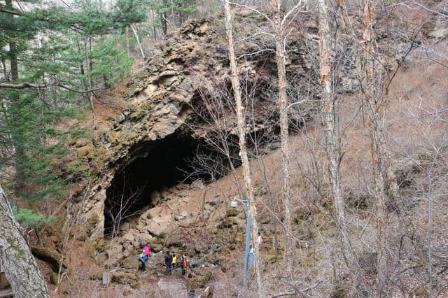 镜泊湖火山口地下森林，探秘神奇的火山世界