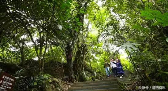 在靖西，来一场不必走远的旅行｜我为家乡代言