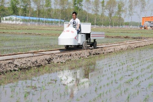 农业观光带　放眼满美景