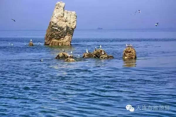 在庄河，有一种夏天叫黑岛