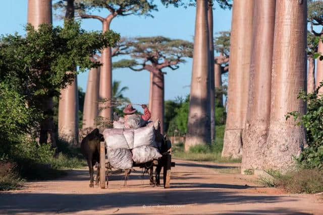 出游 | 好消息！中国护照免签再添一国！如此美丽的国度，说走就走～