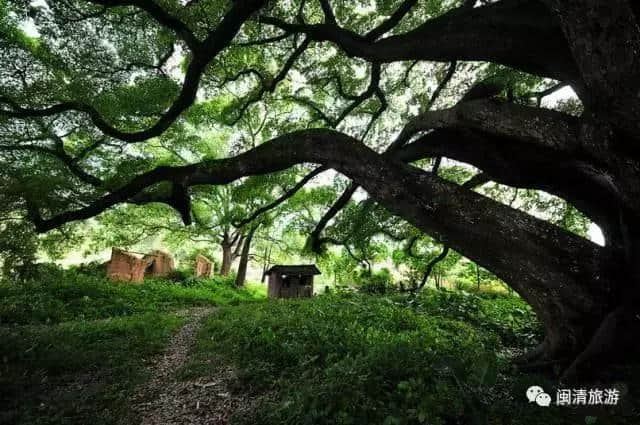 这个小县城风景如画，福州周边游打卡必去！