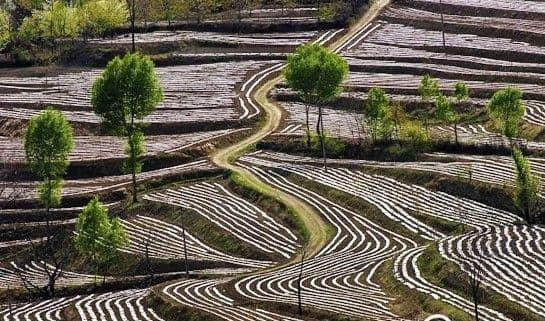 快乐“铜”游 体验一“夏”铜川文旅走进西安邀你赏山水避暑游