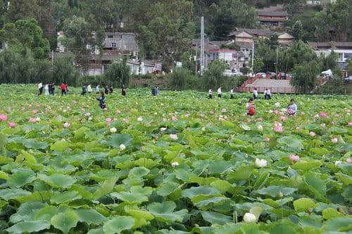 姚安自驾车旅游精品线路推荐