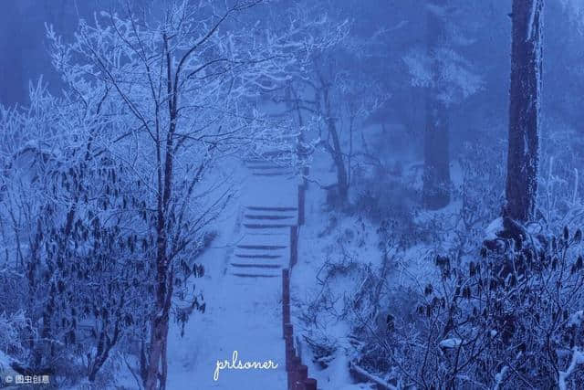 成都周边玩雪 瓦屋山封山多年今年终于开放了