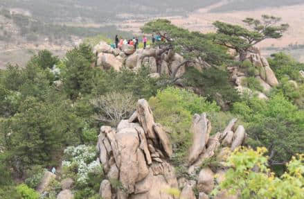 阜新｜海棠山追枫 枫动心亦动