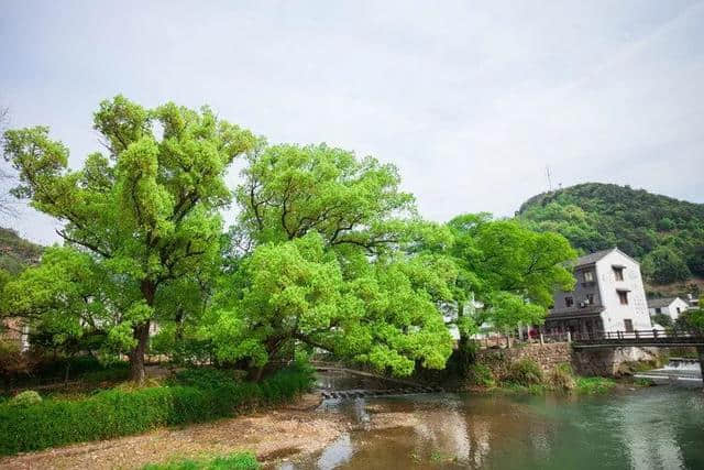 跟着网红游诸暨 | 青山绿水间感受古越文化