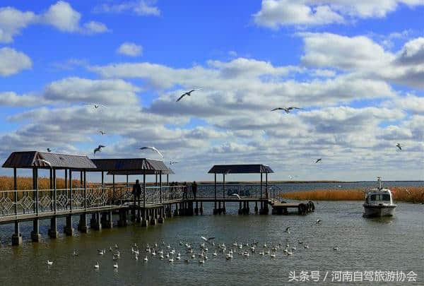 十一自驾额济纳胡杨林，老司机给你指一条全程都是美景的路线