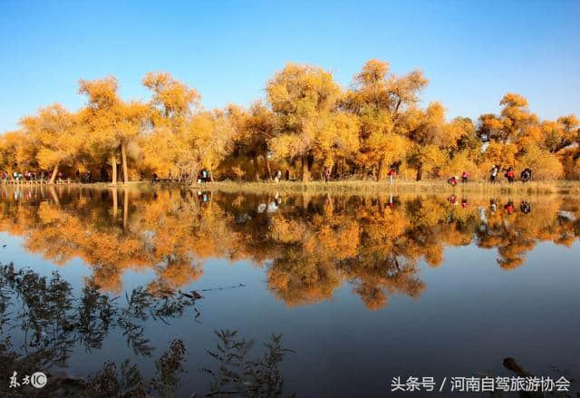 十一自驾额济纳胡杨林，老司机给你指一条全程都是美景的路线