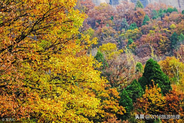 对不起，我劝你别来铜川了……