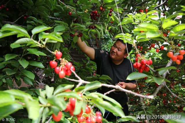 对不起，我劝你别来铜川了……