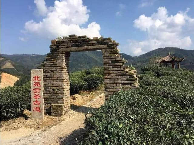 福建最雅致的千年古城，藏着“皇城风光”和“绝美早餐”