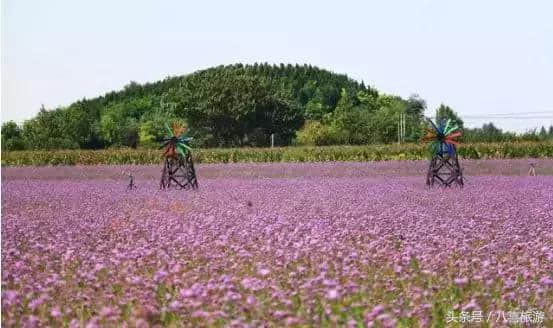 来淄博旅行的正确打开方式，这十大风景区等你pick一下……