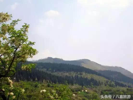 来淄博旅行的正确打开方式，这十大风景区等你pick一下……