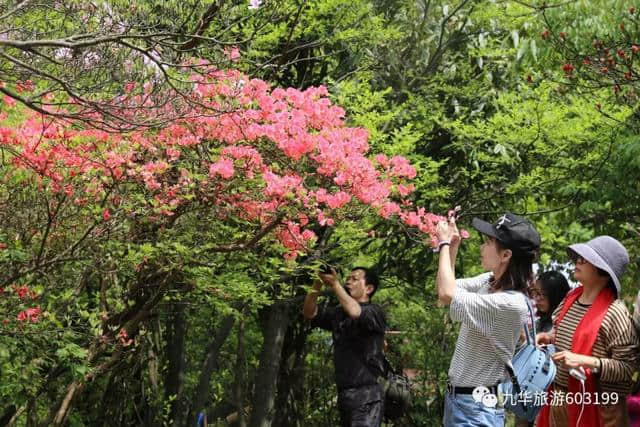 旅游达人眼中的九华山“佛系”景点，你打卡了吗？