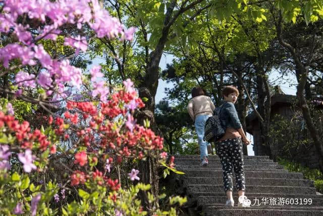 旅游达人眼中的九华山“佛系”景点，你打卡了吗？