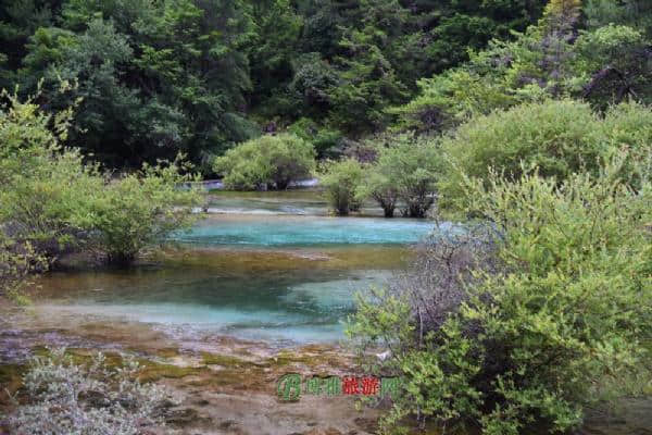 九寨沟景区（四川省阿坝州）