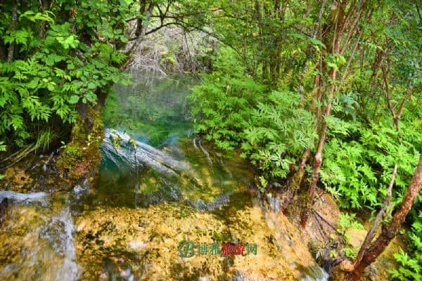 九寨沟景区（四川省阿坝州）