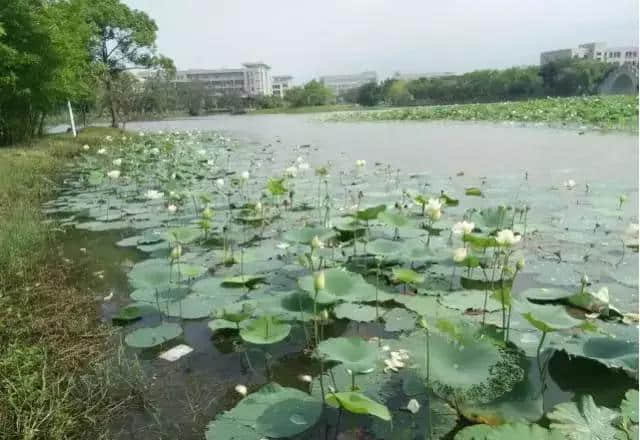 不得了，福州最近出彩的地方居然是在这！