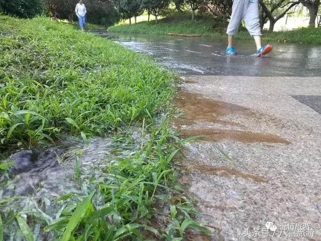 「泉城」因为一场雨，淄博有了新名字！