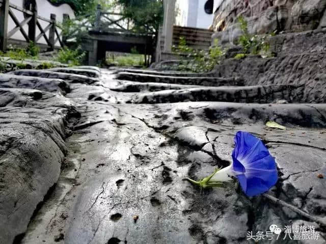 「泉城」因为一场雨，淄博有了新名字！