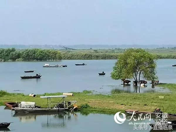 阜阳乡村旅游十家景区推介！临泉就有两家，趁着假期快去转转吧！