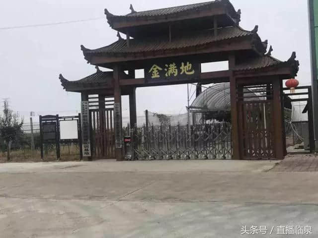 阜阳乡村旅游十家景区推介！临泉就有两家，趁着假期快去转转吧！