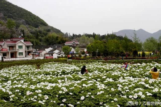 安徽铜陵市义安区四个值得一去的旅游景点，喜欢的不要错过了