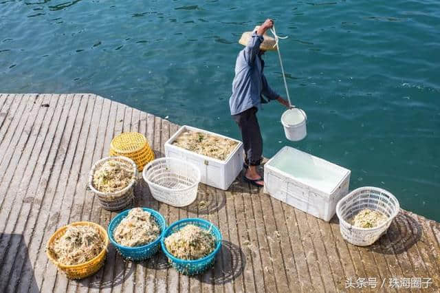 来珠海外伶仃岛不得不做的攻略