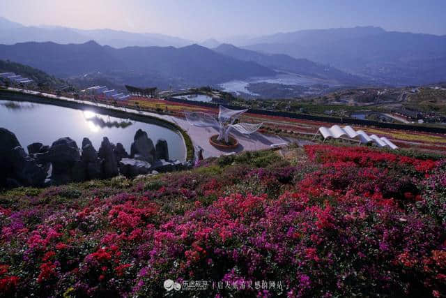 阳光花城，好一朵美丽的攀枝花