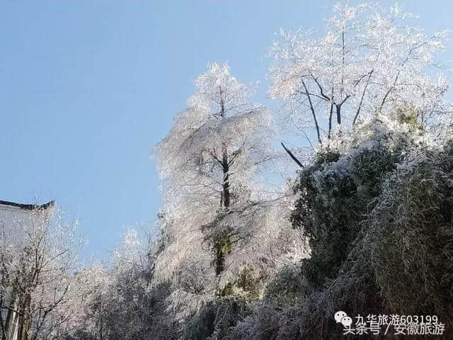 在你眼里 九华山最美的样子是什么？