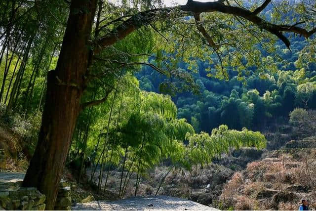 富春山居，桐庐印象