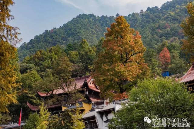 九华山｜天降初霜，秋去冬来