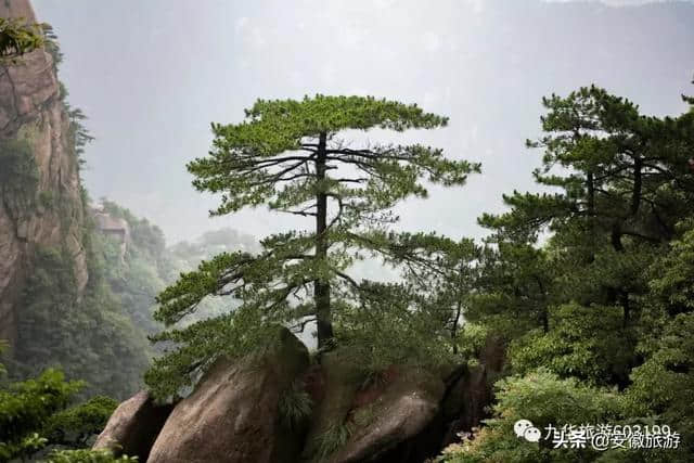 假如地球将被吞噬 请带着九华山一起流浪！