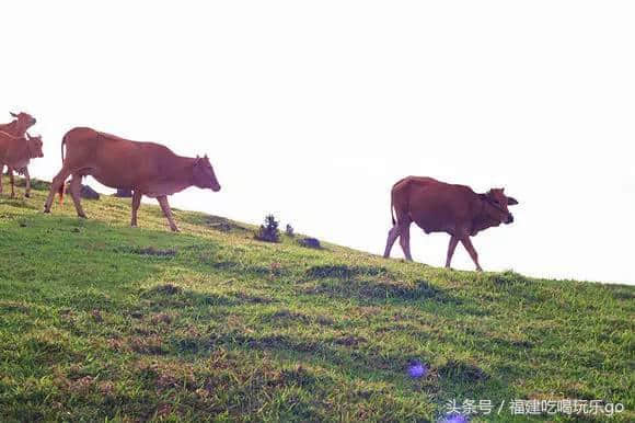 元旦晴好~这种天气就想出去玩，福州周边最适合短途旅游的地方