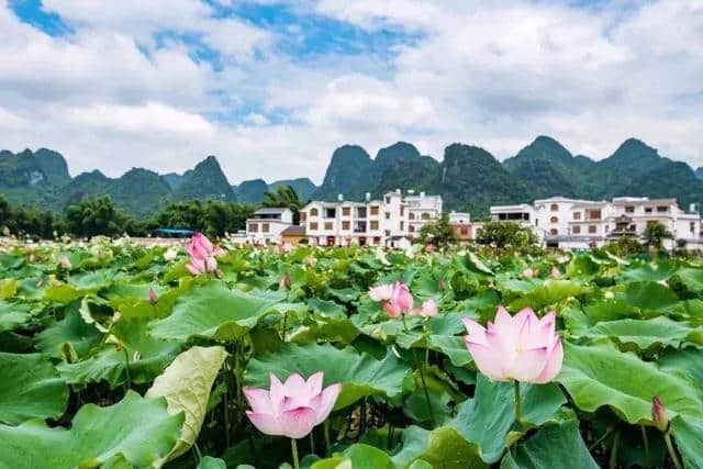 头条 | 这9条精品旅游线路游，带你解锁美到不可思议的柳州美景