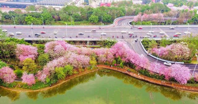 头条 | 这9条精品旅游线路游，带你解锁美到不可思议的柳州美景