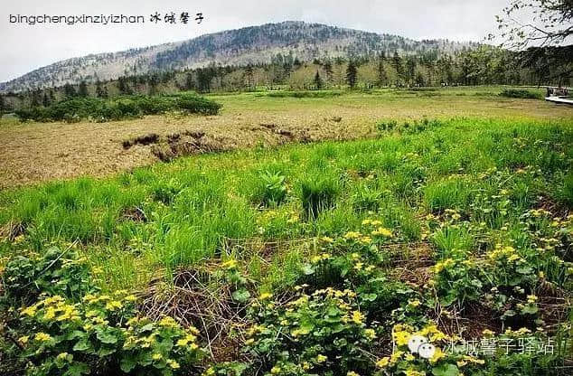 知道哈尔滨也有大峡谷和高山花园吗？就在五常的凤凰山