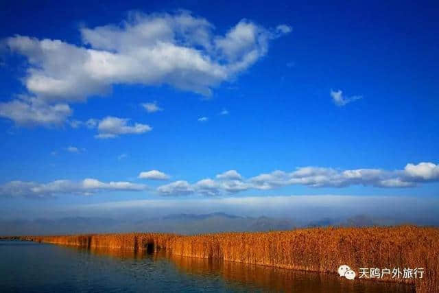 宁夏沙湖，一边湖泊一边沙漠，冰与火之歌