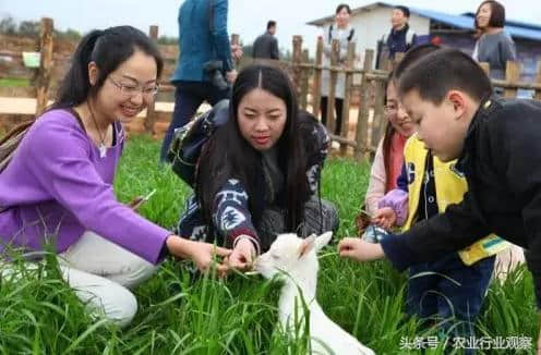 大揭秘！休闲观光牧场：8大案例、5大模式