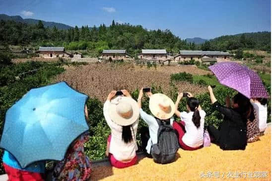 大揭秘！休闲观光牧场：8大案例、5大模式