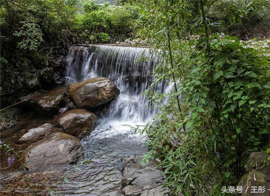 杭州天目山风景区一日游