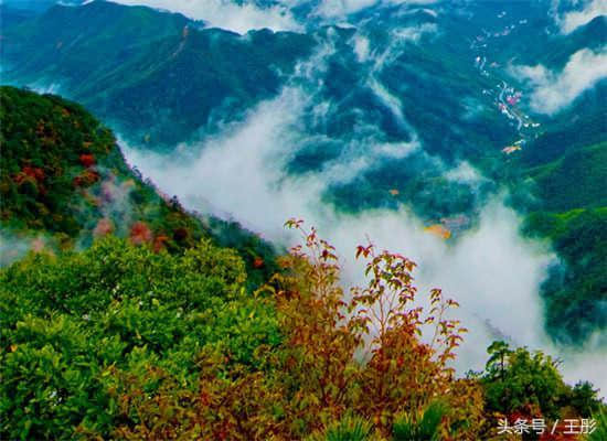 杭州天目山风景区一日游