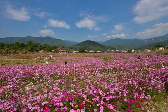 了不得！闽侯这条乡村游线路和3个乡村旅游点要火！福州市文化和旅游局推荐！