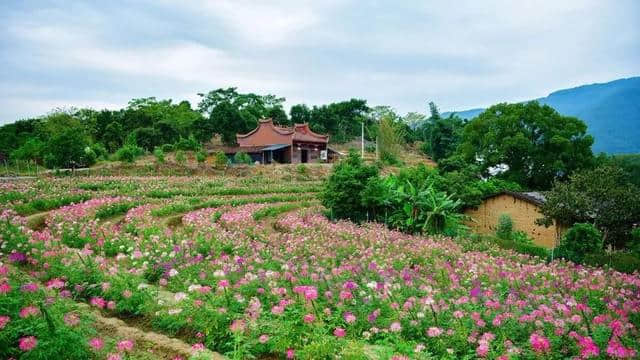 了不得！闽侯这条乡村游线路和3个乡村旅游点要火！福州市文化和旅游局推荐！