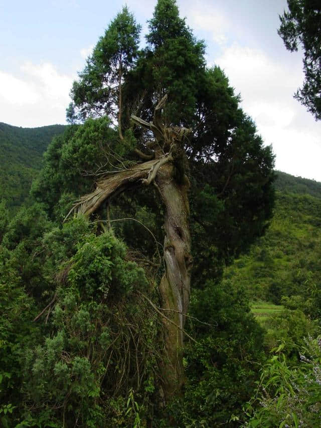 宁海这几个隐世古村，大多数本地人都没去遍……