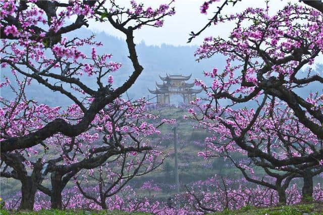 宁海这几个隐世古村，大多数本地人都没去遍……