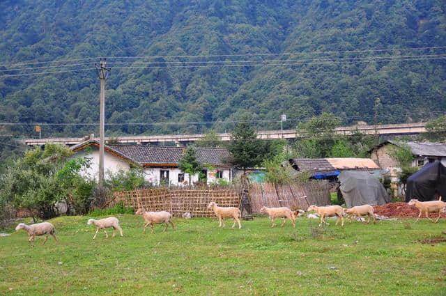 「孟获没有城 冶勒是片海」| 周末旅行掠影