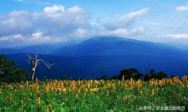 黑龙江省凤凰山旅游景区