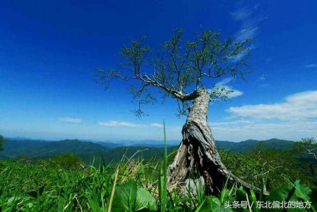 黑龙江省凤凰山旅游景区